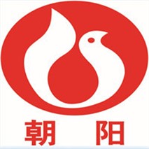 朝陽(yáng)泵業(yè)QZ軸流、QH混流潛水電泵